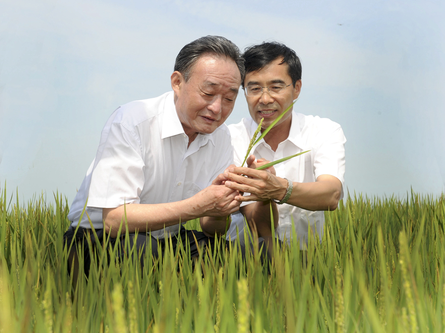 吴邦国同志生平照片及其制作展示指南