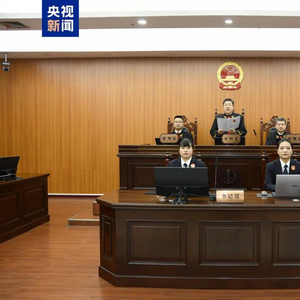 王大伟受贿案，警示录揭示堕落与救赎之路，被判死缓，涉案金额达5.55亿