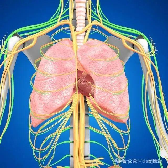 针灸引发危机，女子肺部骤缩重塑内心宁静之路