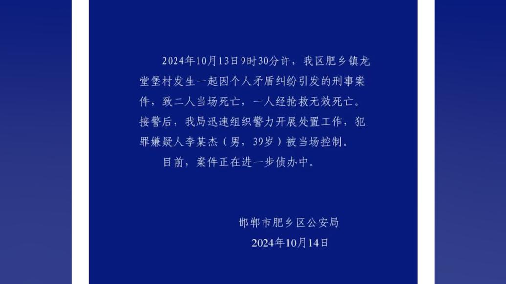 河北某村庄发生刑案致三人死亡事件，深度分析与反思