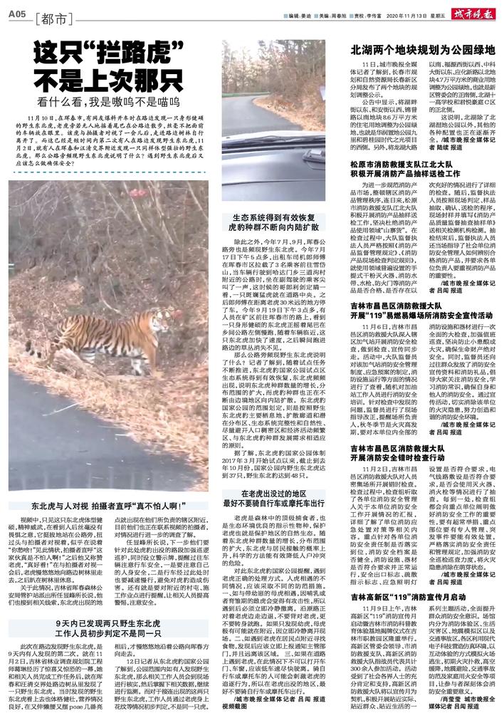 小虎行被拘背后的反思，人生仍需再次出发的勇气