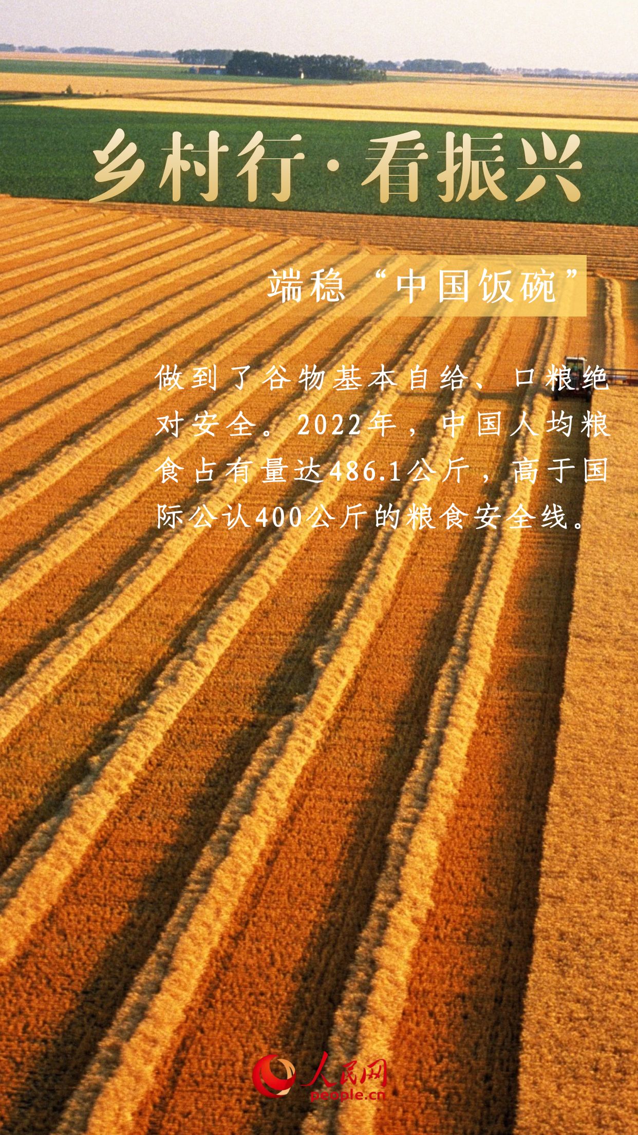端牢中国饭碗的底气与自信