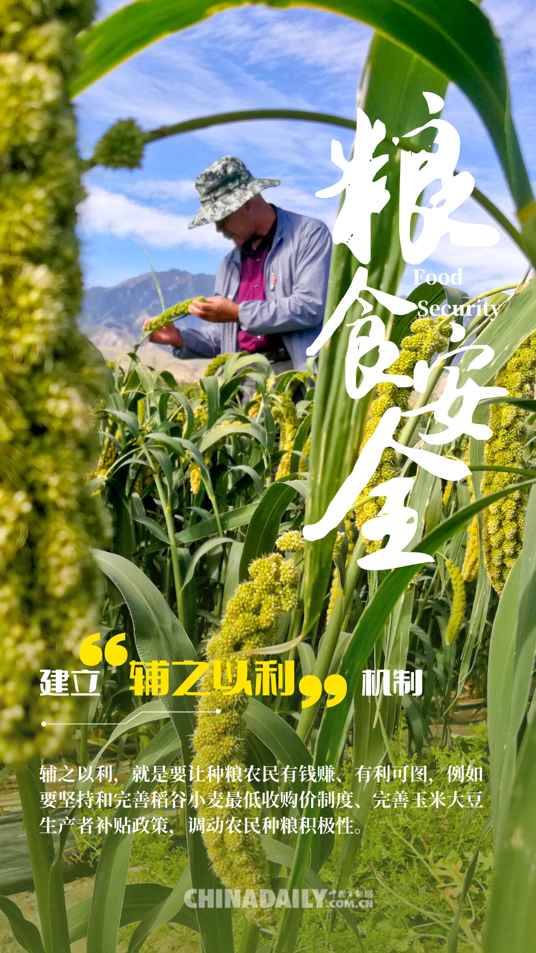 智能餐桌系统全新体验，端牢中国饭碗底气十足