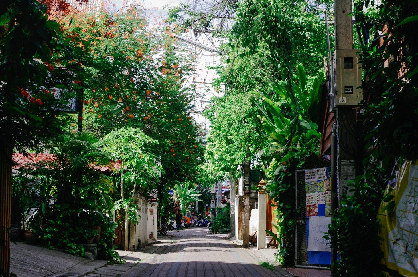 礼品宣传企业，小巷中的独特风景风采展示