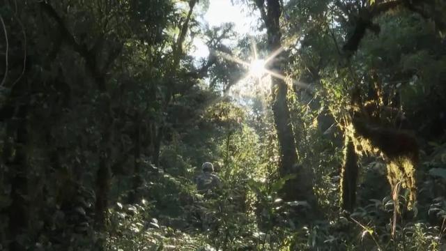 部队穿越哀牢山现场实拍，震撼画面展现！