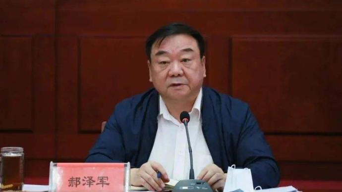 知情人揭秘河南司法厅原厅长病亡细节与隐秘小店故事