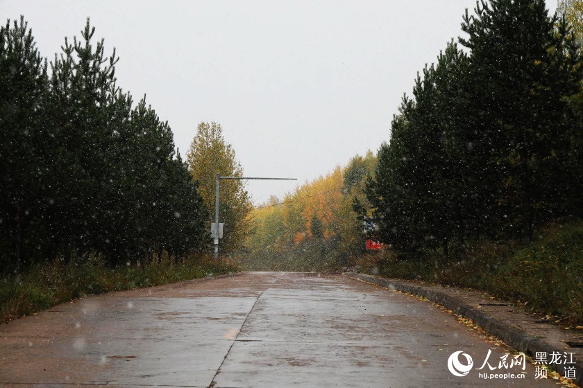 中国最北城市漠河降雪，应对与体验降雪天气的指南