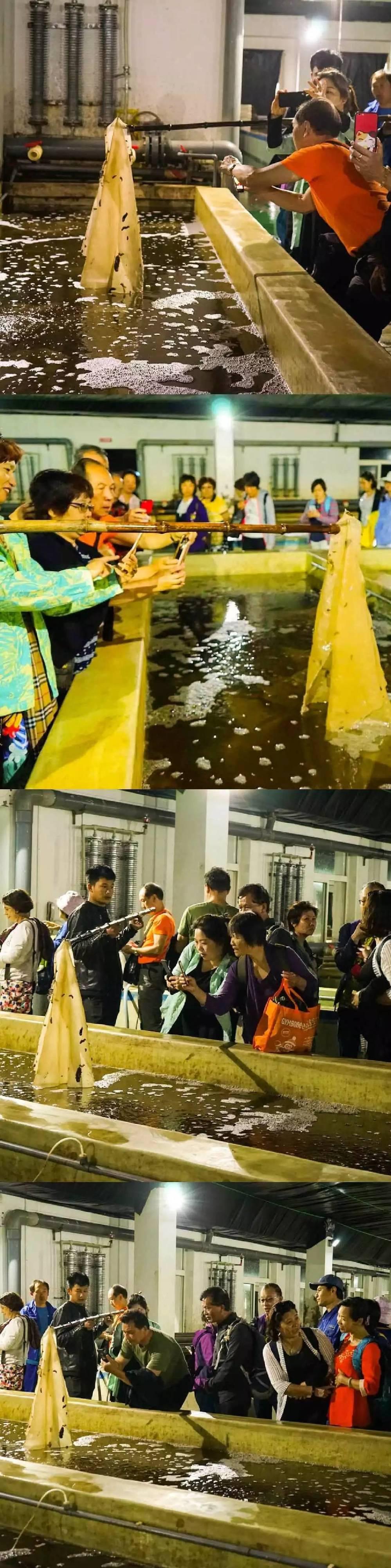 大连海事局发布航行警告，扬帆起航，探索自然怀抱之时已至！