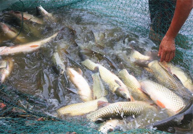 男孩泥泞中归来，妈妈用塑料袋紧急处理