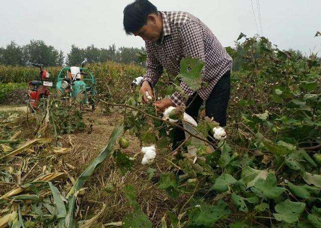 办公设备 第405页