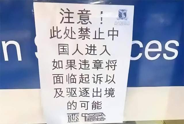 中国游客英文口号引热议，智能科技重塑生活体验的魅力