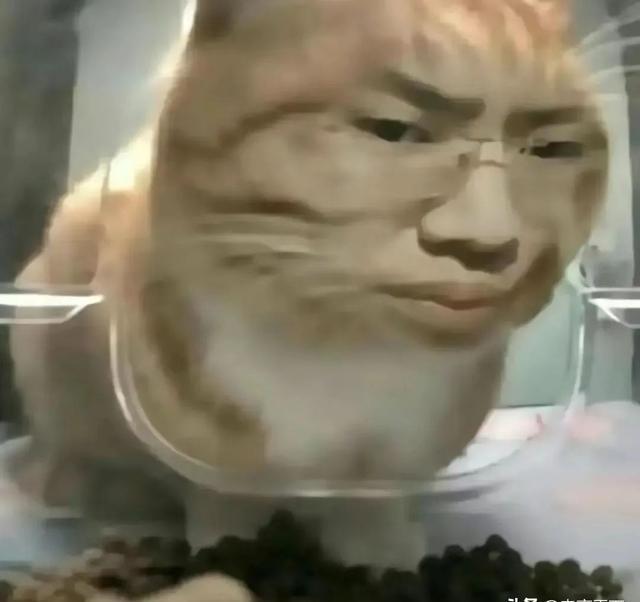 立伟网络科技 第406页