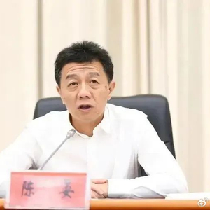 小巷特色小店揭秘，陈晏事件引发关注之余的别样风情