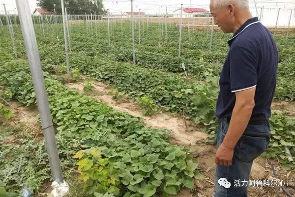 手工耿个人独资工作室注销背后，最后一课的回忆与告别