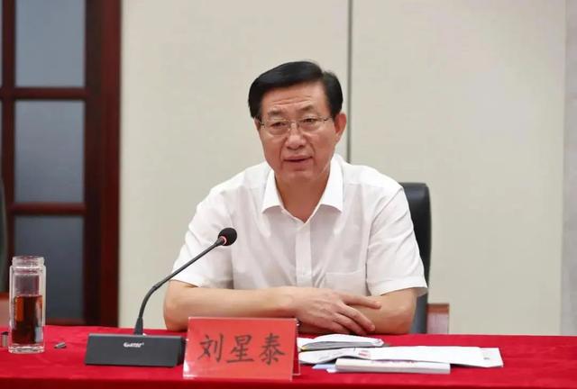海南琼海市委书记田志强被带走事件背后的巷弄深处独特小店揭秘