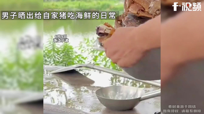 一盆臭肉引发多名官员‘倒塌’的日常趣事
