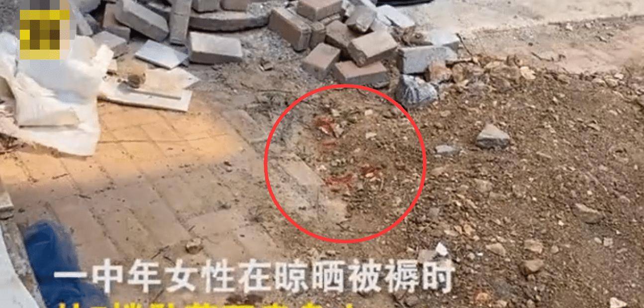 湖南纪委干部工作地意外坠楼身亡，引发社会关注与反思