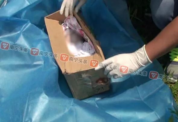 卧底贩婴现场揭秘，婴儿交易与智能监控系统的诞生之旅