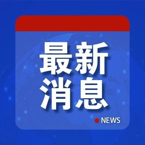 官方通报，乡长下村工作时遇害事件深度分析与观点阐述