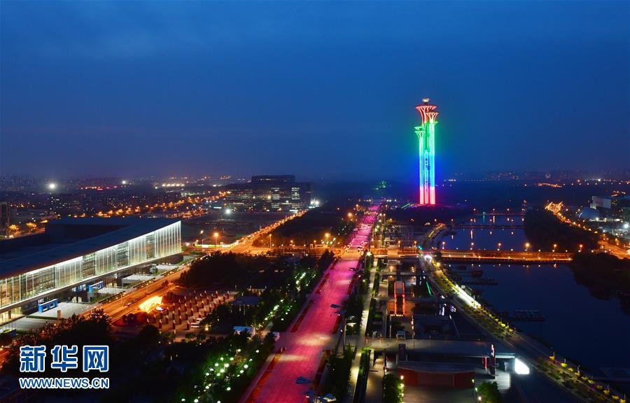 生命之树（或光影盛宴）