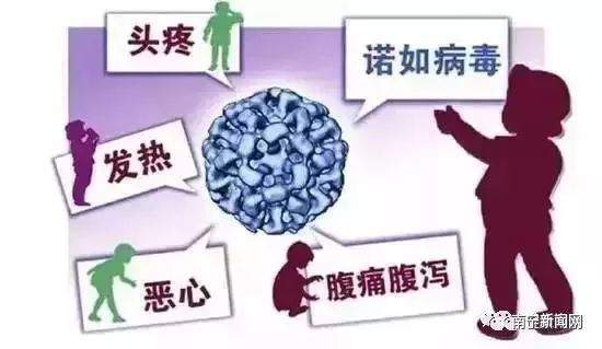 立伟网络科技 第370页