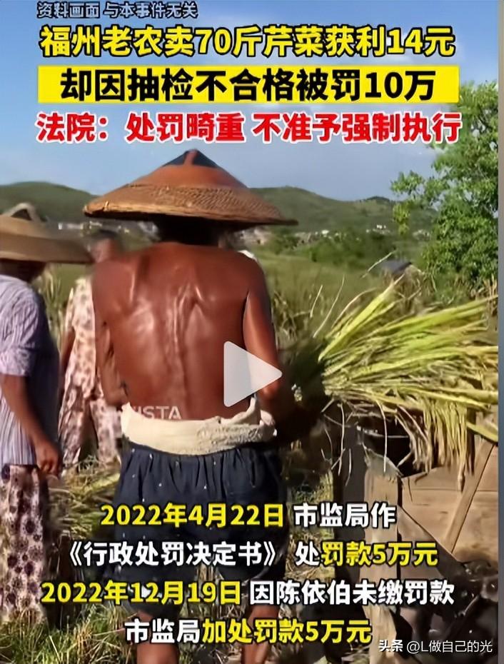 奢侈品牌跨界创新，天价芹菜包融合时尚与食材新概念？