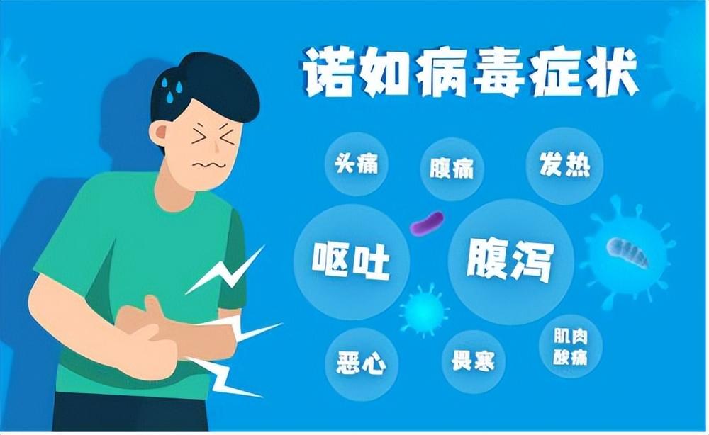 诺如病毒感染高发季，日常防护与温馨生活的平衡之道