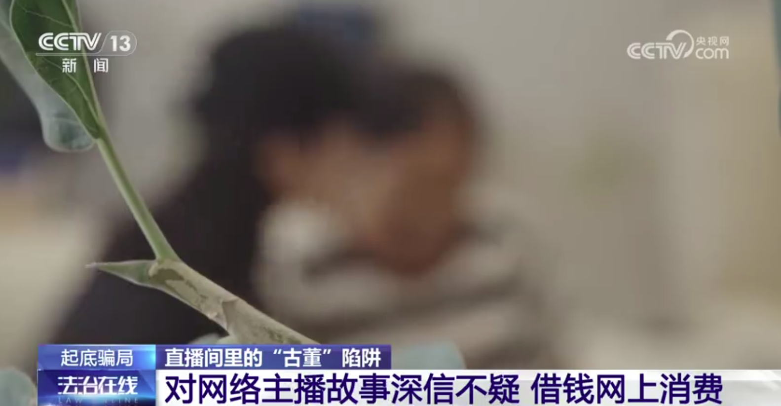 老人直播间购塑料40万，意外开启自然美景探索之旅