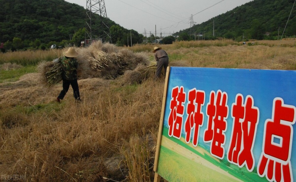关于秸秆禁烧政策的标题，共筑绿色梦想，秸秆禁烧政策实施并非折腾农民。