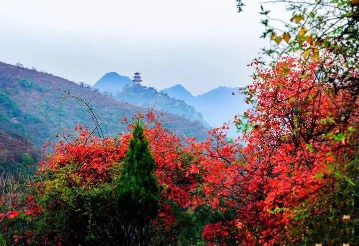 赏红叶地图