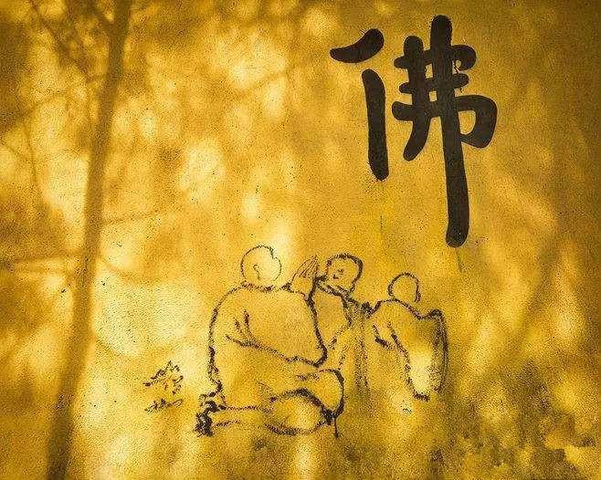 东海县最新探秘，小巷深处的意外惊喜