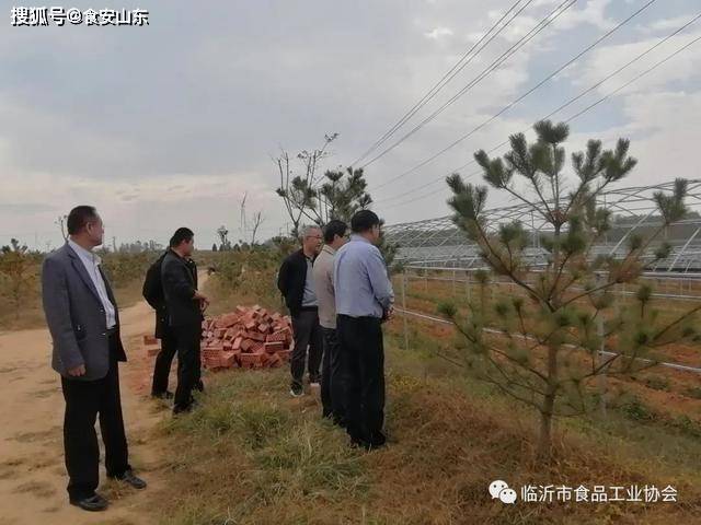 莒南招聘最新消息现状分析与展望，行业趋势与招聘动态速递