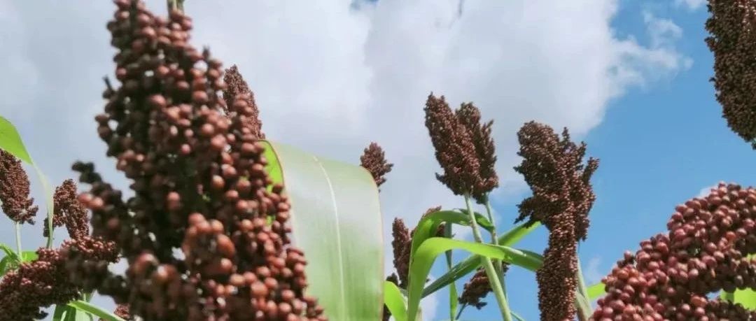 立伟网络科技 第360页