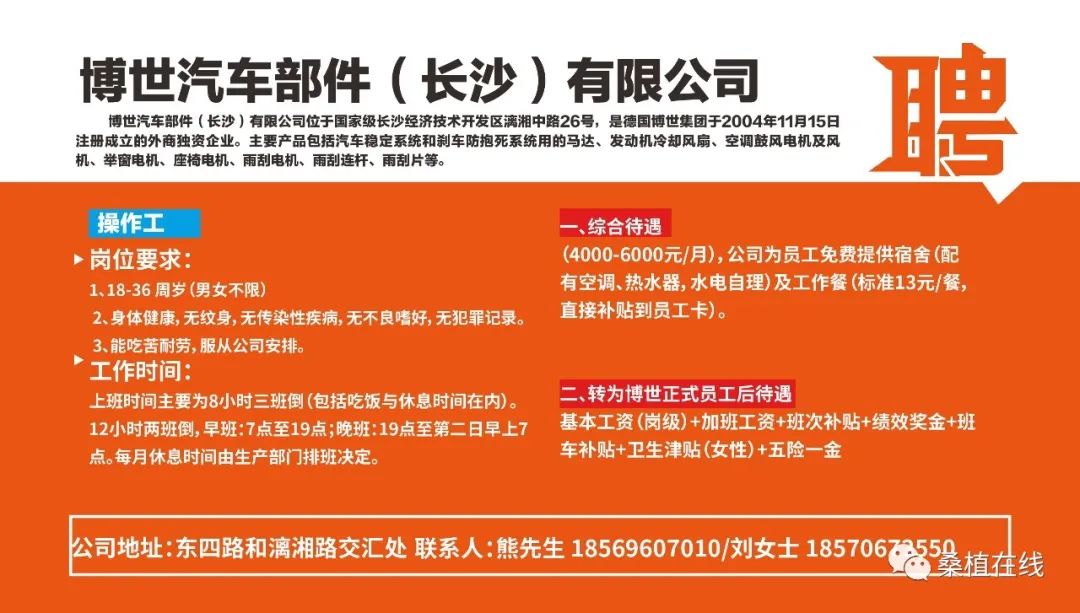 昭通招聘网最新招聘信息及求职步骤指南