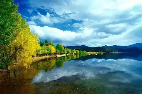 最新版Chrome浏览器，自然美景之旅，探寻内心平和与宁静的启程