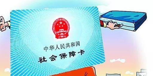 社保最新政策解读，深度分析与个人观点分享