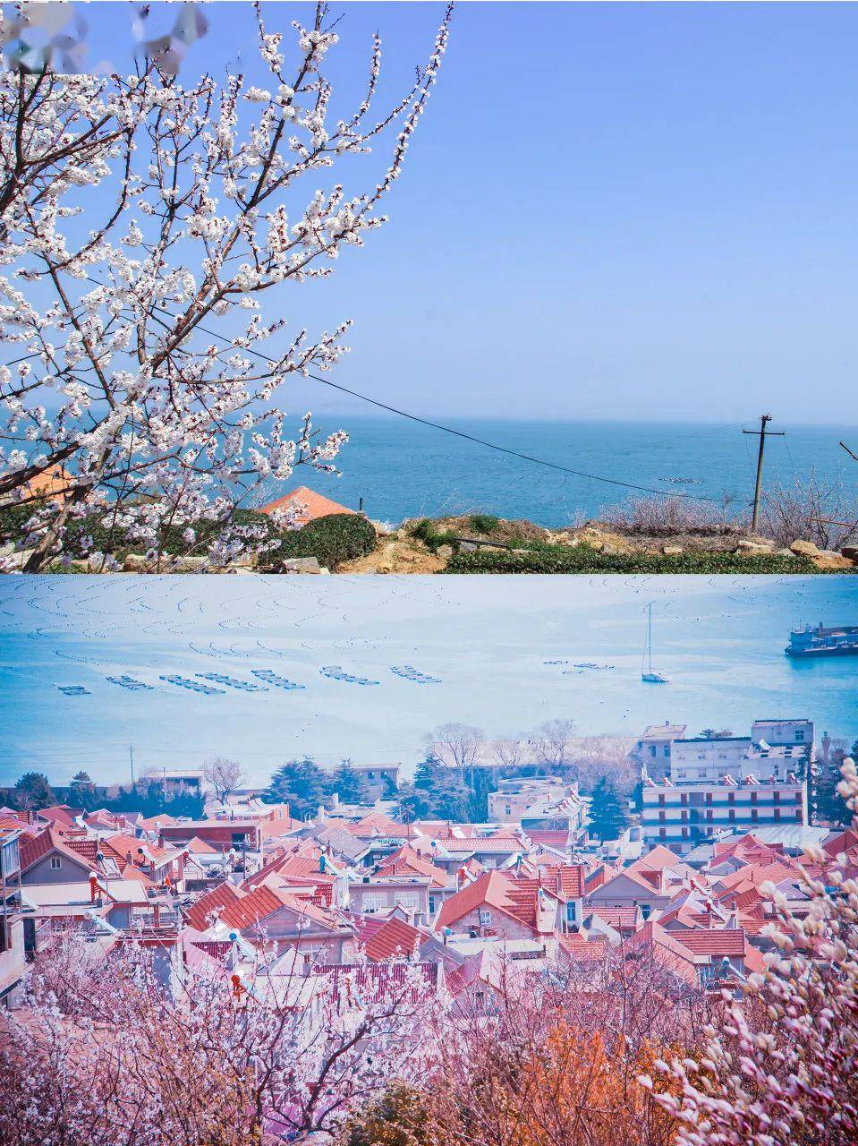 新津最新新闻，拥抱自然，探寻内心平静的旅行之旅