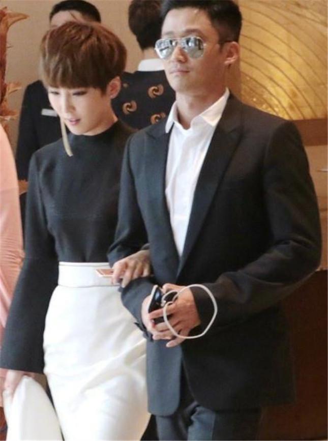 战狼2最新票房全面指南，如何获取最新票房信息