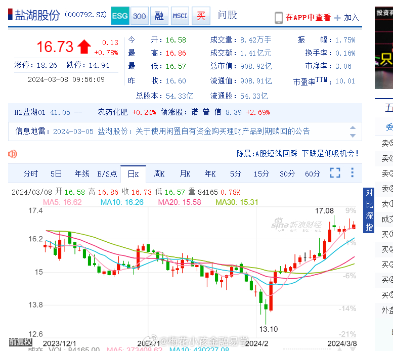 盐湖股份最新公告，友谊故事与公告更新同步呈现