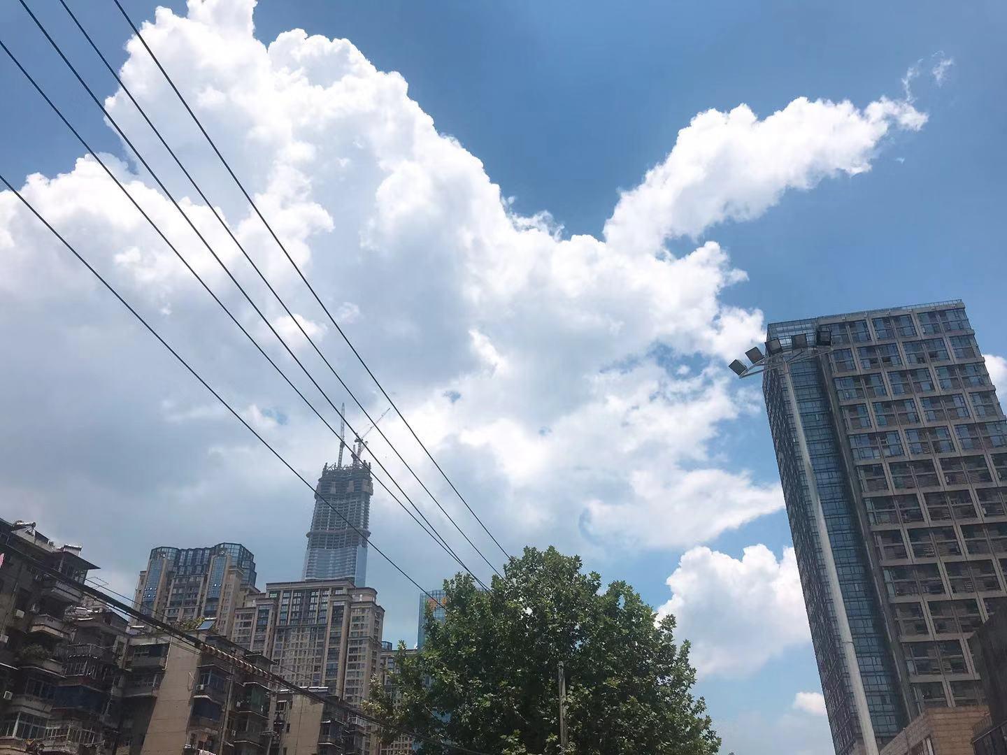 武汉四环线最新动态，启程探寻自然美景的宁静之旅