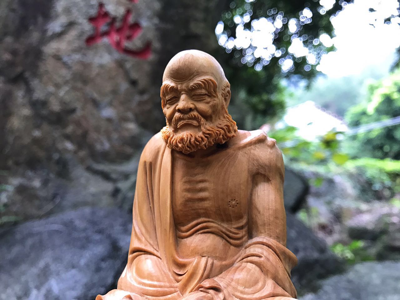 揭秘达摩现象，新动态与深度影响的探索