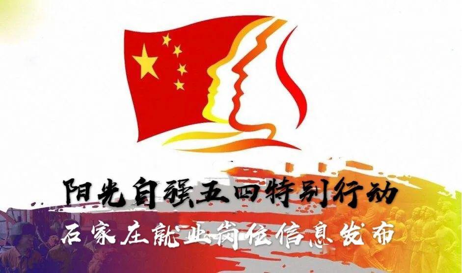 石家庄最新招聘信息动态及其影响，深度观点论述