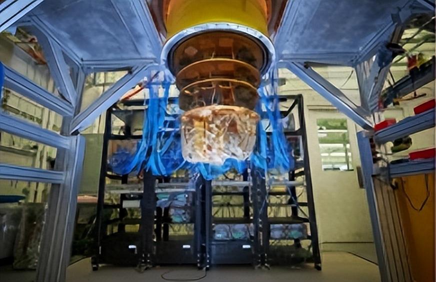 量子计算机最新进展详解，步骤指南与最新突破