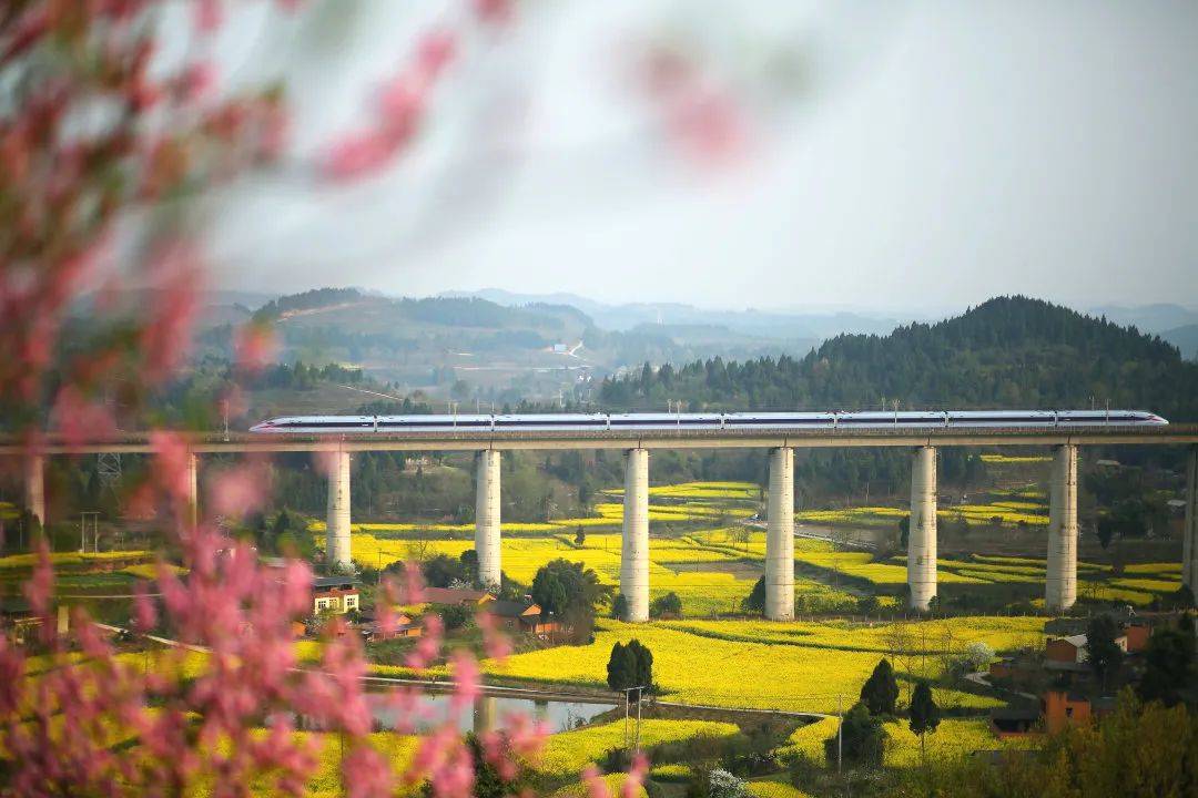 成南达万高铁最新动态，宁静之旅，驶向自然美景的列车