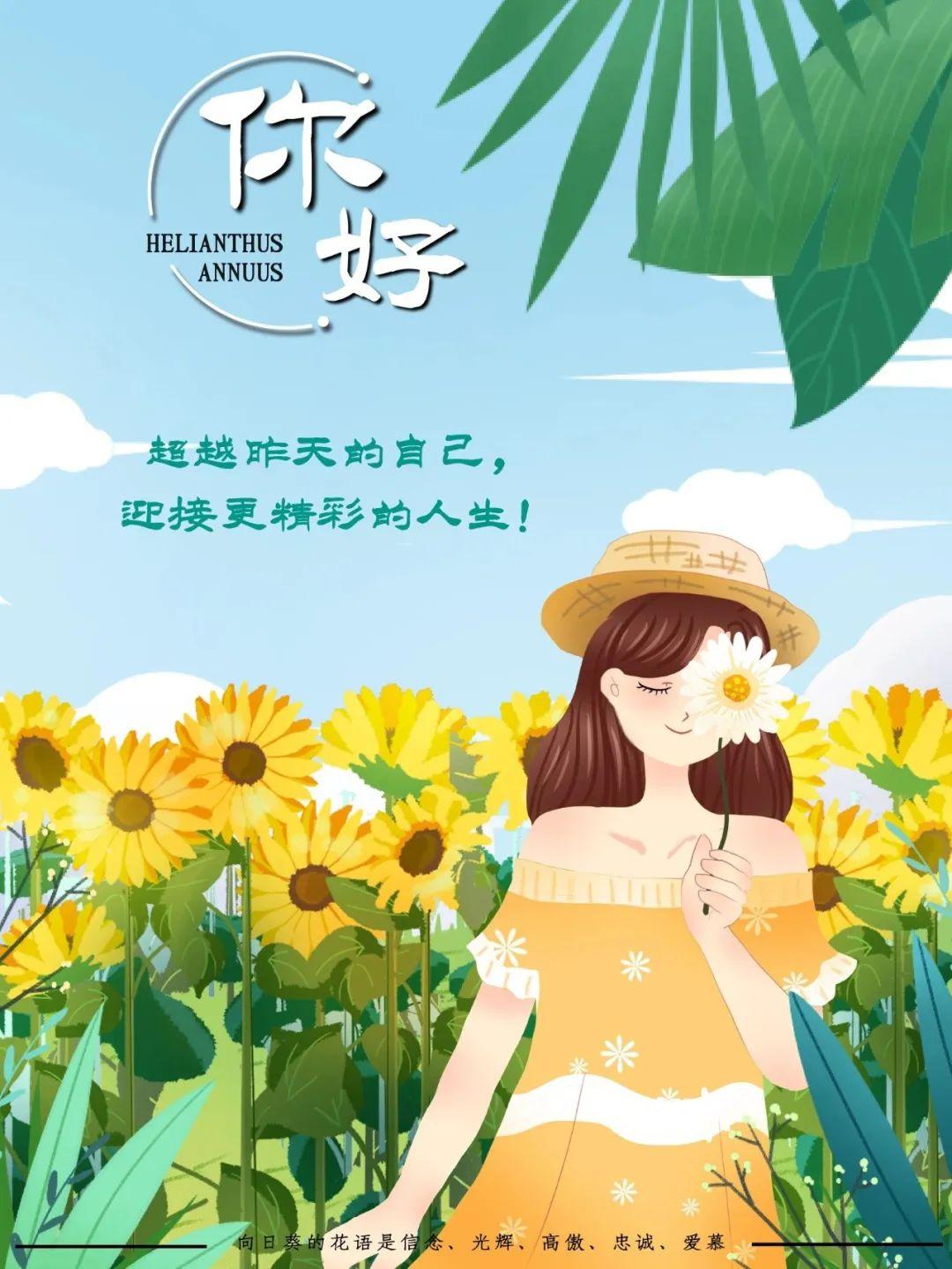最新电视背景，自信与成就的励志之旅启程