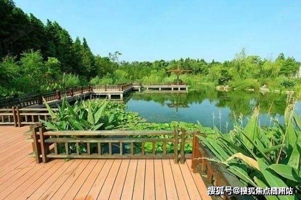 华鹏飞最新动态，拥抱自然，启程寻找内心宁静之旅