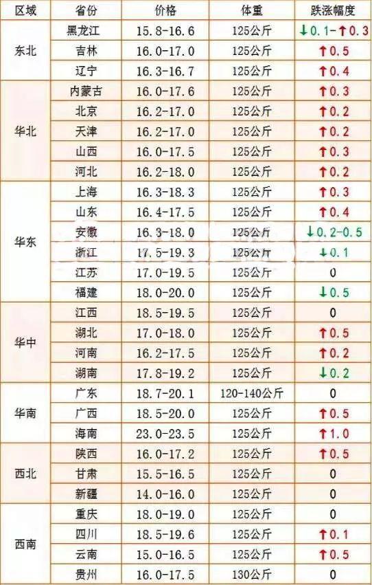 肉毛鸡最新价格行情🌟
