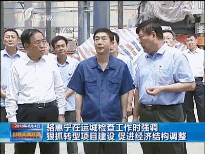 运城玉米价格变化中的机遇与自我超越之旅，最新行情分析