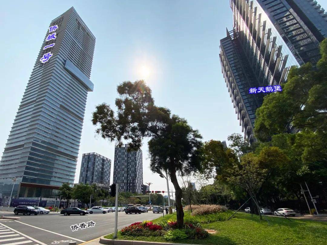鹅价最新动态，行情分析与小巷深处的鹅香探秘