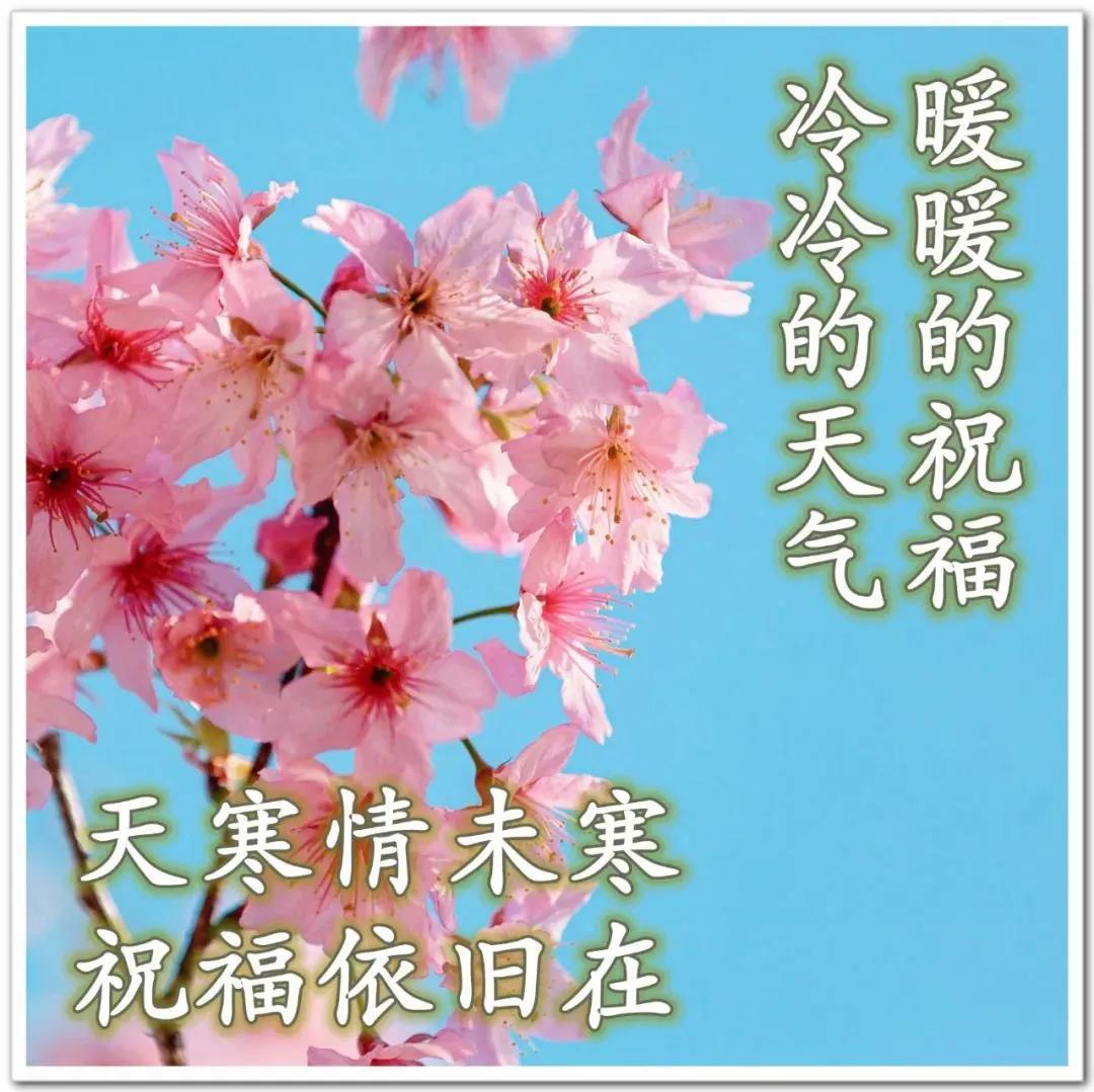 移动流量大放送，满格流量与满分友情的最新活动！